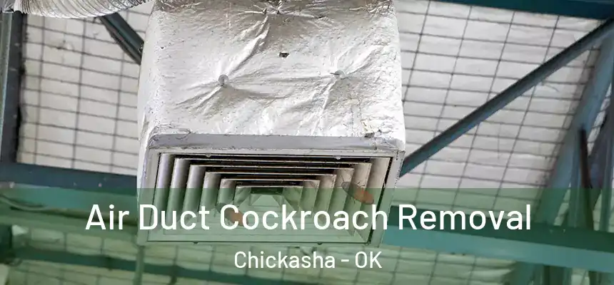  Air Duct Cockroach Removal Chickasha - OK