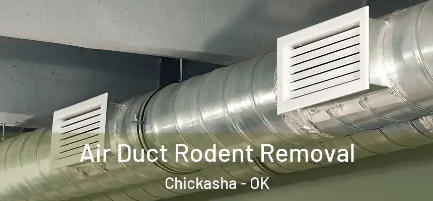  Air Duct Rodent Removal Chickasha - OK