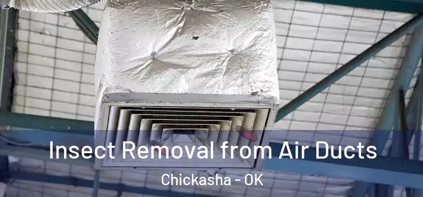  Insect Removal from Air Ducts Chickasha - OK
