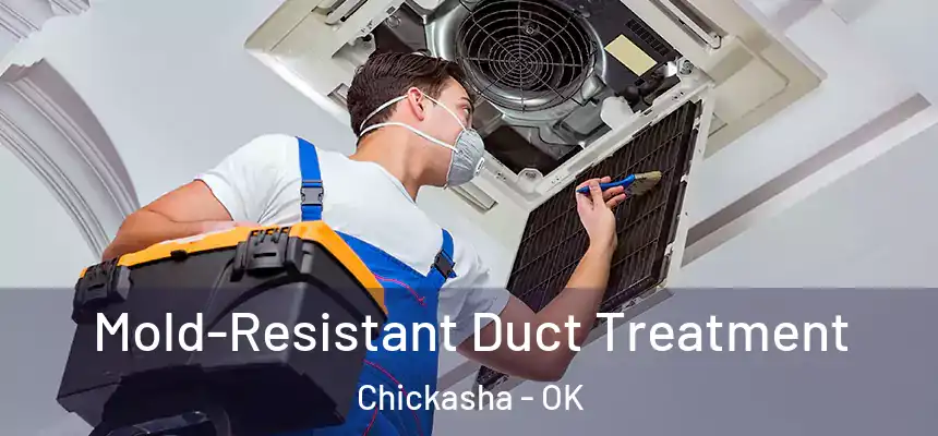  Mold-Resistant Duct Treatment Chickasha - OK