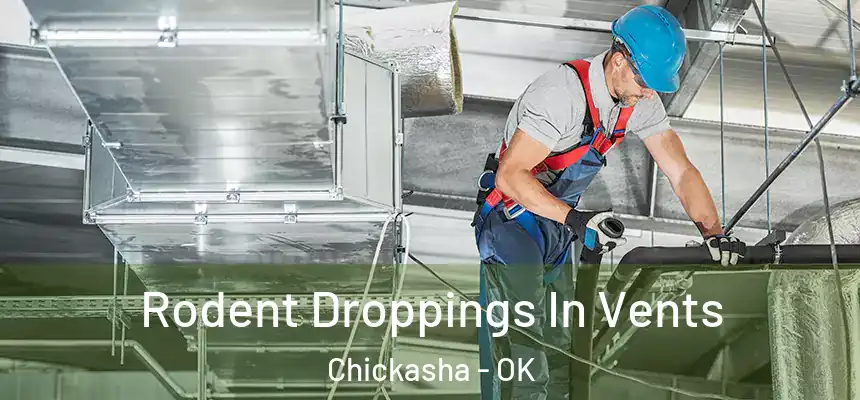  Rodent Droppings In Vents Chickasha - OK
