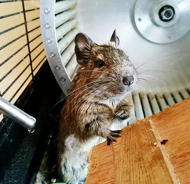 Why Homeowners & Businesses Trust Us Chickasha, OK?